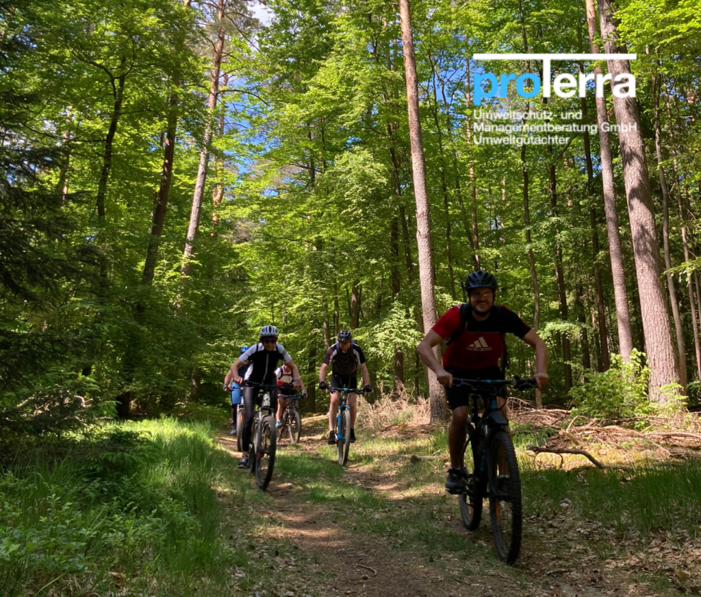 Firmenausfahrt, Firmenevent, Firmenausflug, Teambuiliding