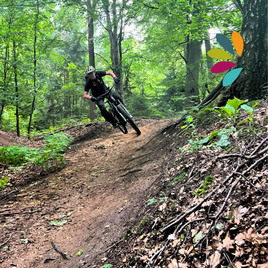 MTB Personal Training, MTB Einzeltraining in Saarbrücken, Saarland.