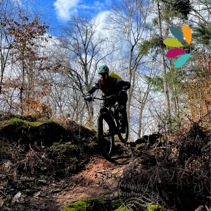 MTB Fahrtechniktraining, MTB Fahrtechnik, Saarbrücken, Saarland