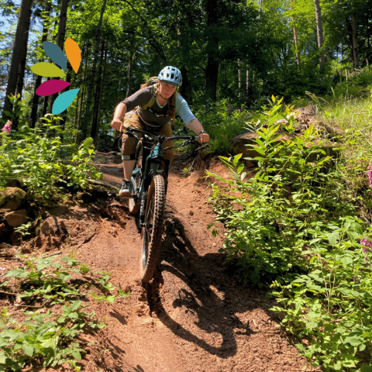 MTB Personal Training, MTB Einzeltraining in Saarbrücken, Saarland.
