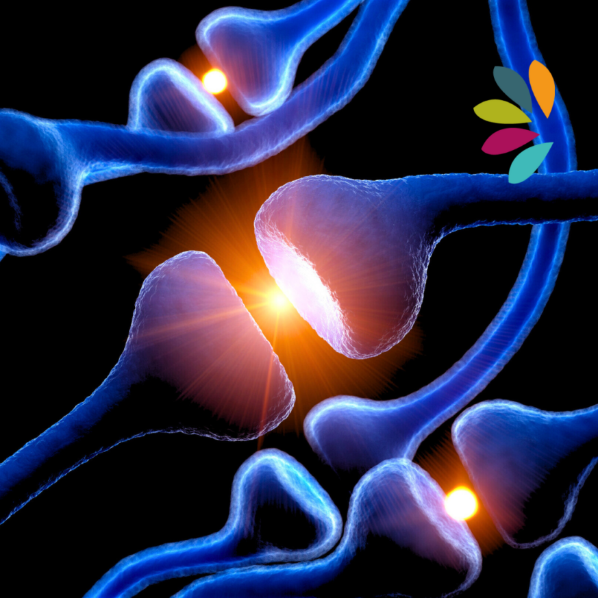 Sportmentaltraining Saarland, Saarbrücken